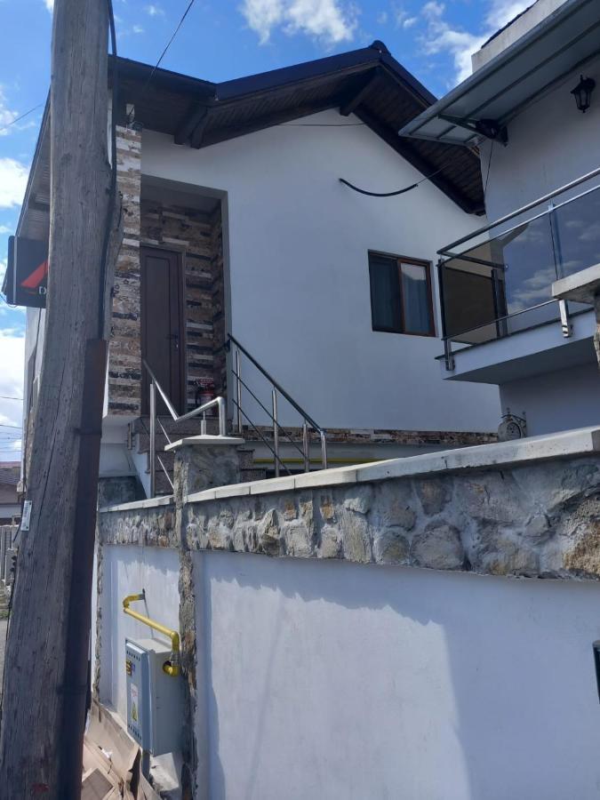 Târgu Jiu Casa Davison 아파트 외부 사진