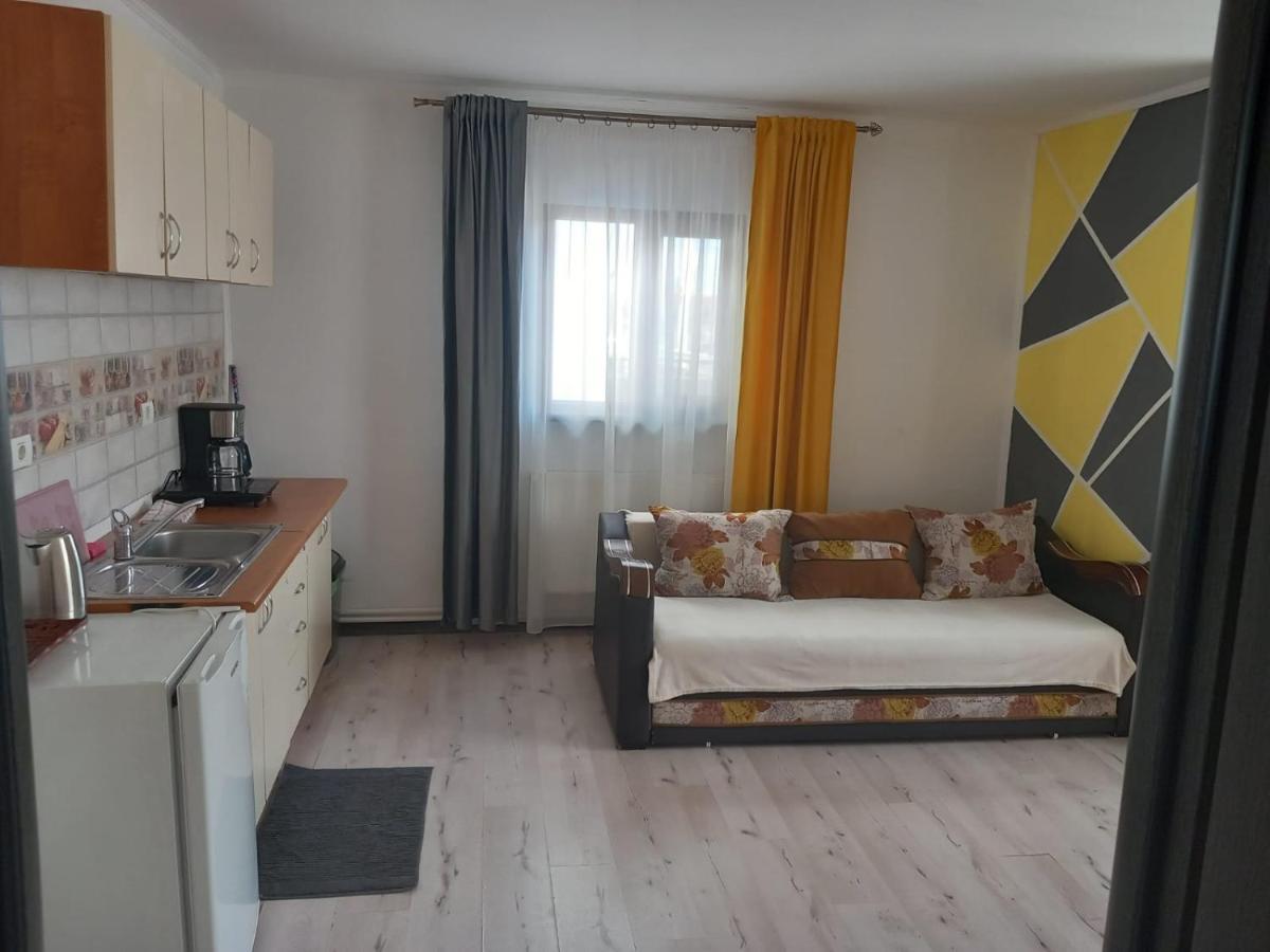 Târgu Jiu Casa Davison 아파트 외부 사진