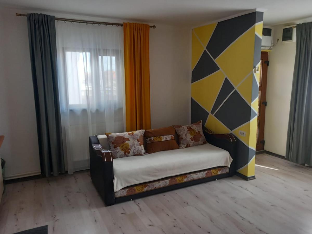 Târgu Jiu Casa Davison 아파트 외부 사진