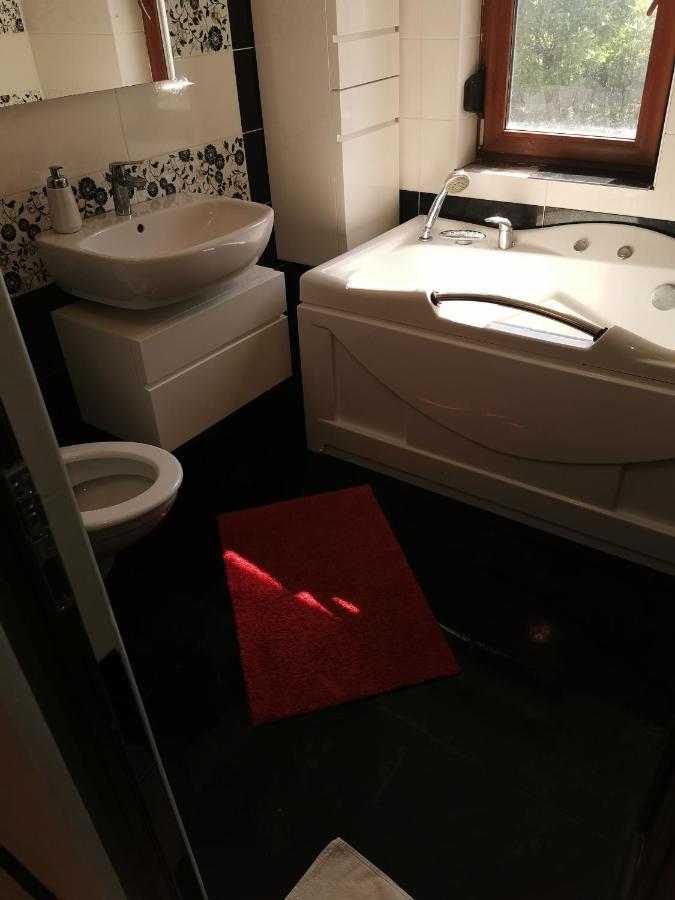 Târgu Jiu Casa Davison 아파트 외부 사진